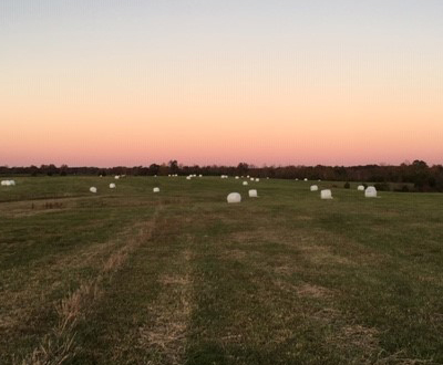 Sunset over farm fields