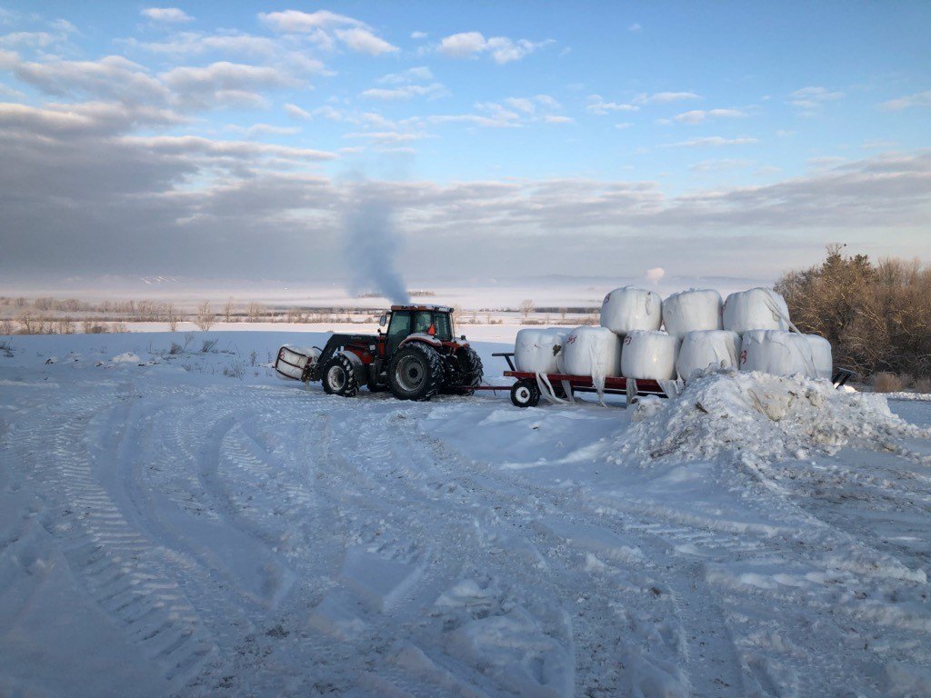 Moving hay in the winter at Simply Grazin' NY farm