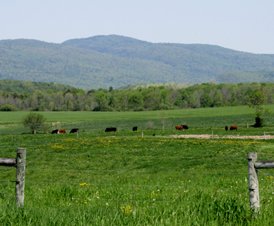 Fort Ann, NY pastures