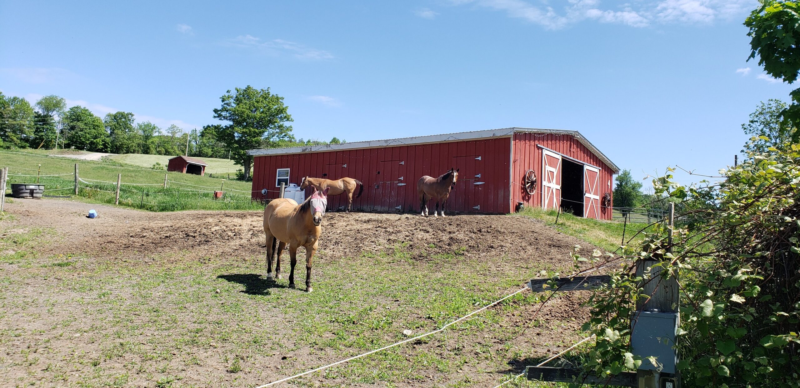 horse barn exchange